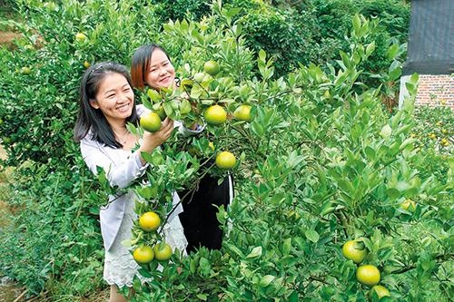 摘野果发朋友圈的说说(精选72句) 摘野果发朋友圈的说说(精选72句)