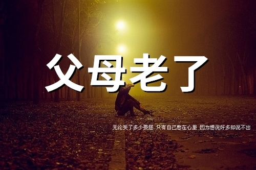 父母老了我心酸了说说(63句)