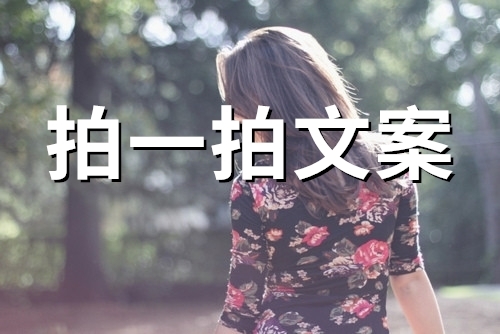 朋友拍了拍我的有趣文案(92句)