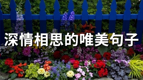 深情相思的唯美句子(精选97句)