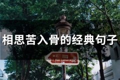 相思苦入骨的经典句子(97句)