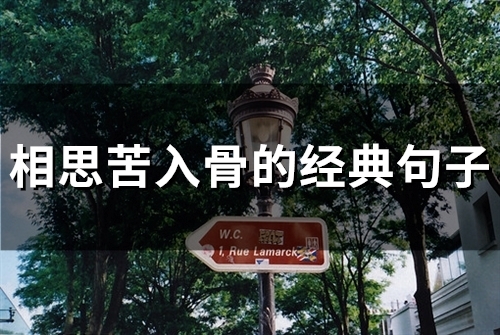 相思苦入骨的经典句子(97句)