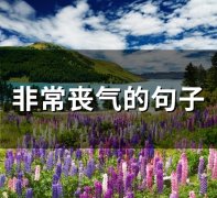 非常丧气的句子 很丧的句子(41句)