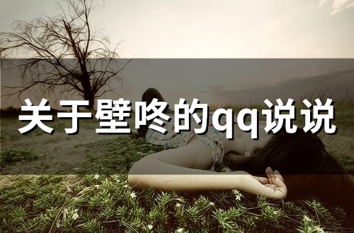 关于壁咚的qq说说 形容壁咚的文字(22句)