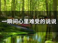 一瞬间心里难受的说说 突如其来的难过说说(精选57句)