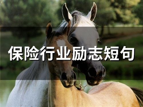 保险行业励志短句 保险人生格言励志短句(100句)