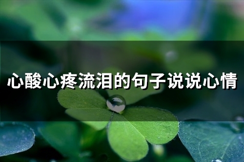 心酸心疼流泪的句子说说心情 心疼流泪想哭的句子(精选30句)