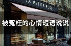 被冤枉的心情短语说说 被冤枉心里委屈的说说(42句)