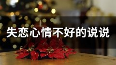 失恋心情不好的说说 失恋了心里难受的句子(42句)