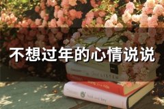 不想过年的心情说说 过年回不了家的心酸句子(精选42句)