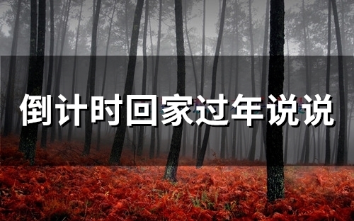 倒计时回家过年说说(精选71句)