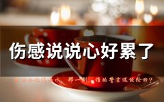 伤感说说心好累了(精选44句)