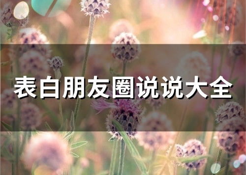 表白朋友圈说说大全(54句)