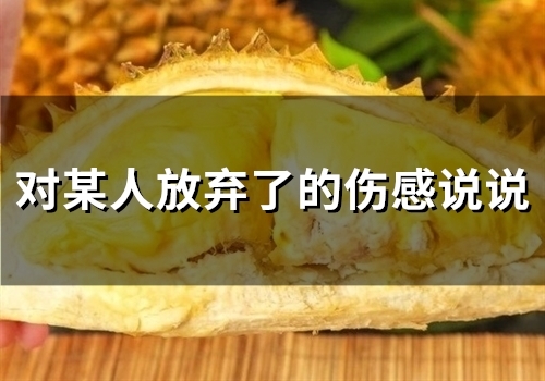 对某人放弃了的伤感说说(36句)