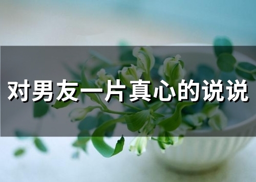对男友一片真心的说说(精选64句)