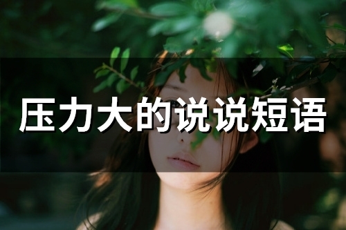 压力大的说说短语(65句)