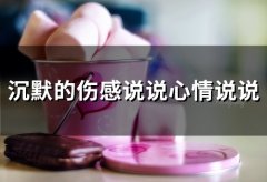 沉默的伤感心情说说(36句)