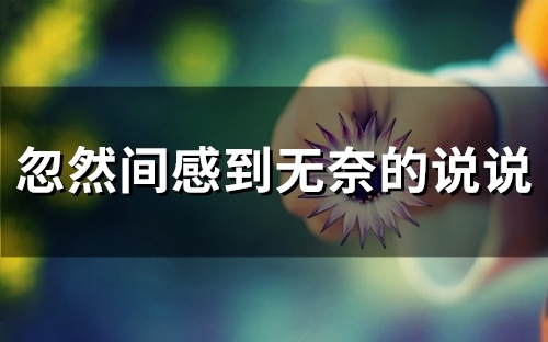 忽然间感到无奈的说说(36句)