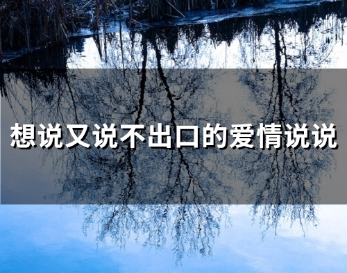 想说又说不出口的爱情说说(35句)