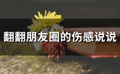 翻翻朋友圈的伤感说说(67句)