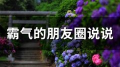霸气的朋友圈说说(精选66句)