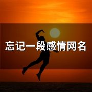 忘记一段感情网名(精选68个)