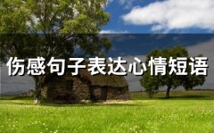 伤感句子表达心情短语(99句)