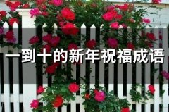 一到十的新年祝福成语(精选90句)