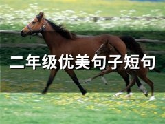 二年级优美句子短句(75句)