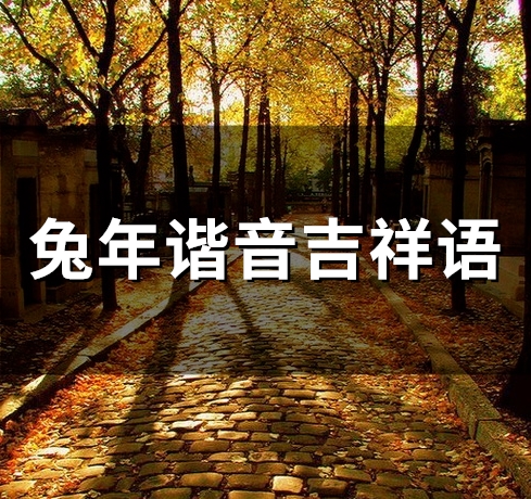 兔年谐音吉祥语(45句)