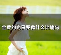 金黄的向日葵像什么比喻句(62句)