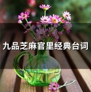 九品芝麻官里经典台词(精选54句)