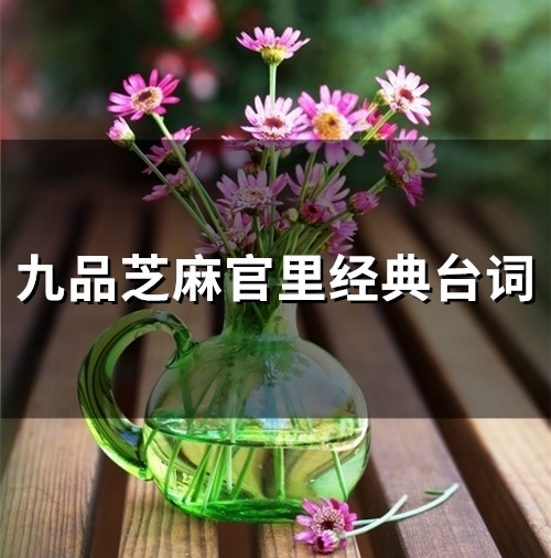 九品芝麻官里经典台词(精选54句)