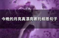 今晚的月亮真漂亮寄托相思句子(精选58句)