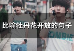 比喻牡丹花开放的句子(78句)