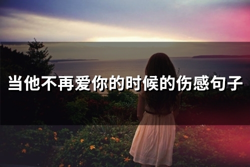 当他不再爱你的时候的伤感句子(29句)
