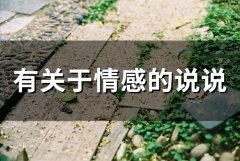 有关于情感的说说(精选67句)