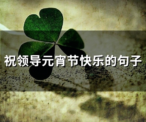 祝领导元宵节快乐的句子(62句) 祝领导元宵节快乐的句子(62句)