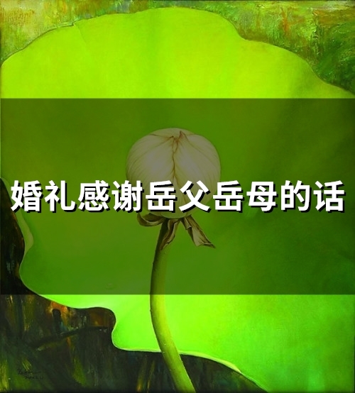 婚礼感谢岳父岳母的话(精选47句)