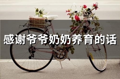 感谢爷爷奶奶养育的话(79句)