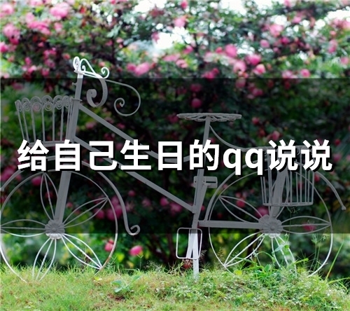 给自己生日的qq说说(精选67句)