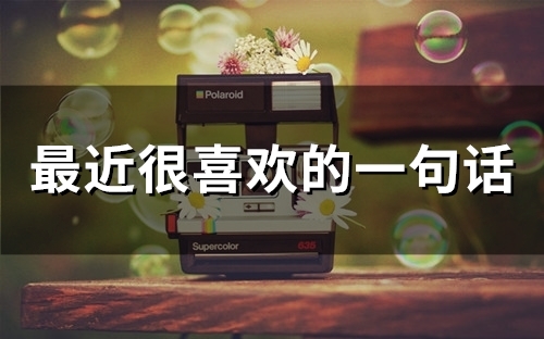 最近很喜欢的一句话(精选28句)