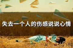 失去一个人的伤感说说心情(86句)