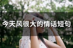 今天风很大的情话短句(33句)