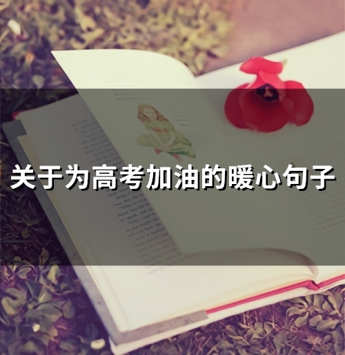 关于为高考加油的暖心句子(精选61句)