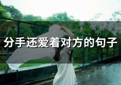 分手还爱着对方的句子(77句)