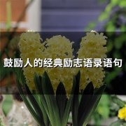 鼓励人的经典励志语录语句(精选64句)
