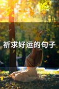 祈求好运的句子(精选61句)