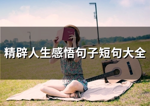 精辟人生感悟句子短句大全(88句)