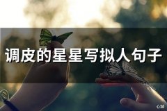调皮的星星写拟人句子(精选73句)